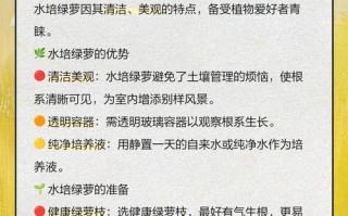 水培绿萝如何爬墙？