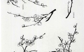 儿童学画梅花盆栽，如何掌握画法要领？