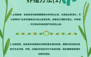 多肉组合怎么养才爆盆？