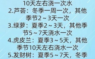 盆栽浇水要注意什么？