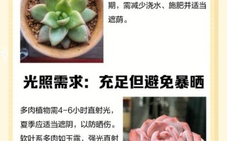 多肉植物有哪些显著特征？