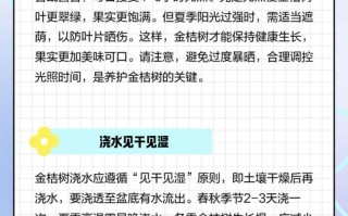 小金桔盆栽如何促结果？养护关键在哪？