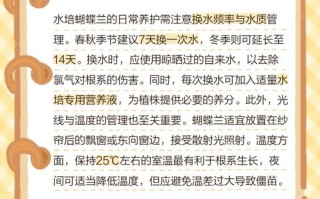 水培兰花水臭了怎么办？