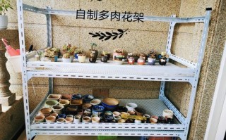 自制多肉棚架怎么搭才实用？