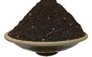 盆栽梅花用什么土种植最佳？