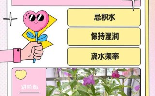 鲜花为何不能水培？