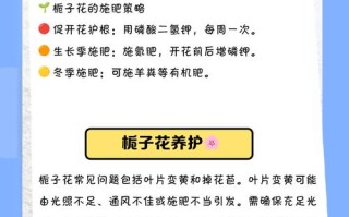 栀子水培盆栽怎么选？