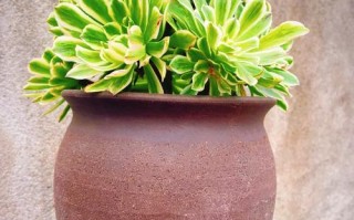 绿法师是黑法师的变种吗？