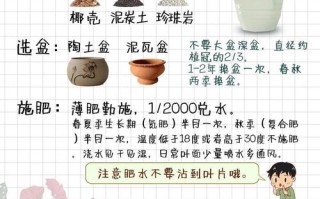 室内盆栽海棠怎么养才好？