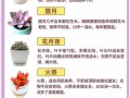 秋季移栽多肉要注意啥？