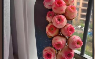 多肉玫瑰开花怎么抑制？