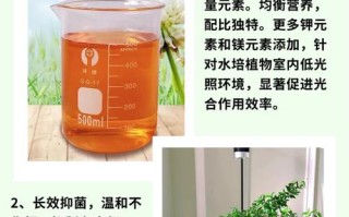 水培植物长期泡营养液会怎样？