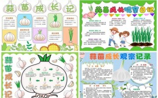 大蒜盆栽怎么催芽快？