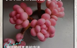 鸡蛋养多肉有啥小妙招？