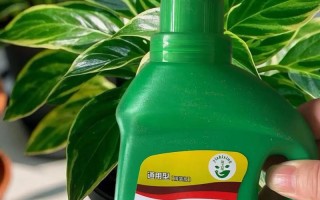 营养液倒多了怎么办？植物会死吗？