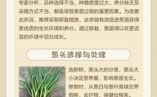 瓷盆栽葱花为何总不长？