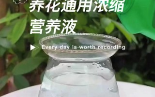 水培植物营养液怎么配才有效？
