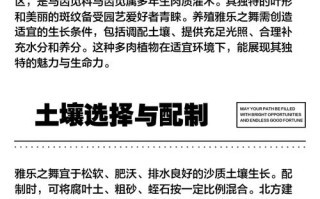 雅乐之舞多肉养殖技巧有哪些？