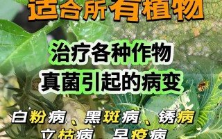 冬天多肉用不用浇多菌灵？