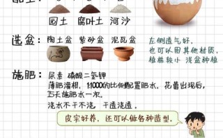 花盆栽怎么种？图片大全步骤详解
