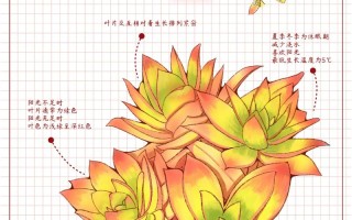 火祭繁殖有几种方法？