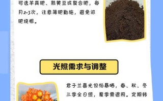 水培君子兰转土培怎么换？