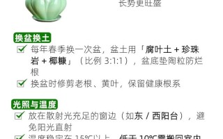 白掌水培土养哪种更适合生长？