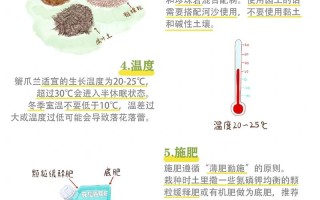 刚买蟹爪兰能直接水培吗？