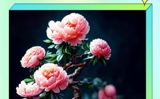 盆栽牡丹怎么养才开花？