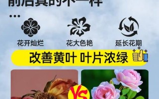 花粉能当盆栽肥料用吗？
