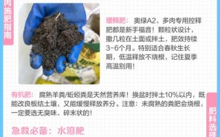 多肉肥料撒多少？怎么撒才正确？