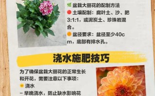 花卉盆栽种植养护要点有哪些？