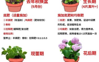 盆栽花卉施肥常用方法