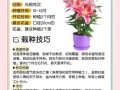 秋季盆栽花应注意什么