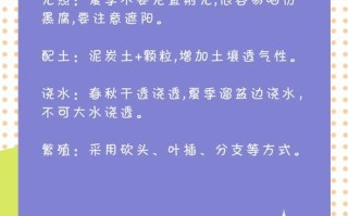 玉蝶多肉为何频繁黄叶？