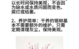 银柳水培多久换一次水合适？