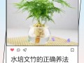水培为何也算一种繁殖方式？