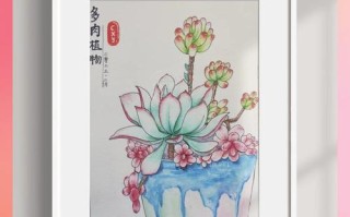 多肉花盆绘画图，怎么画才好看？