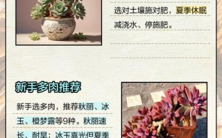 养多肉的人叫什么？