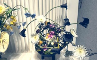 上海开自选水培花卉店，可行吗？