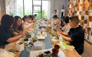 多肉植物漂亮包装有什么小技巧？