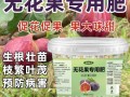 盆栽无花果用什么肥料好？