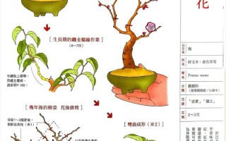 腊梅盆栽怎么养？繁育苗有哪些技巧？