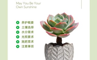 多肉植物几月不用浇水？