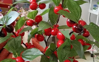 盆栽樱桃冬天怎么保暖防冻？