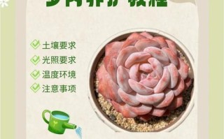 多肉养护知识怎么下载才靠谱？