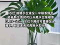 龟背竹水培怎么养才好？