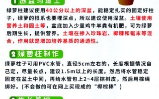 水培绿萝干叶是缺水还是烂根了？