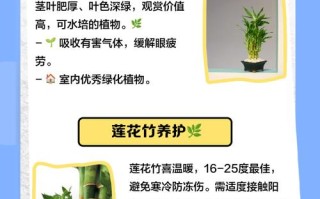 荷花竹水培多久换一次水？