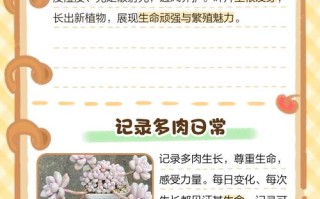 多肉小苗怎么养护？